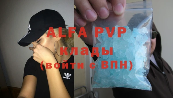 крисы Баксан