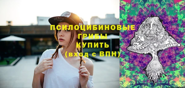 стаф Белокуриха