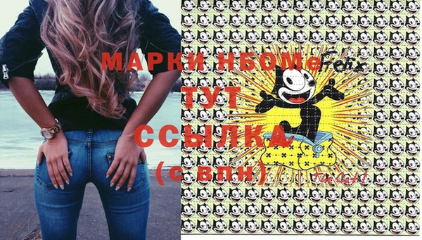 стаф Белокуриха