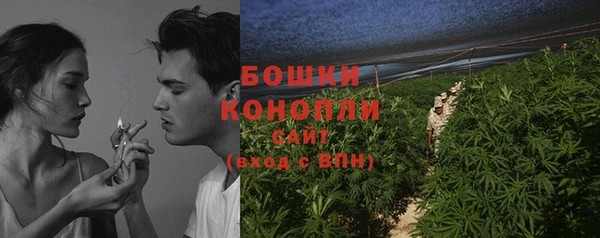 ПСИЛОЦИБИНОВЫЕ ГРИБЫ Балабаново