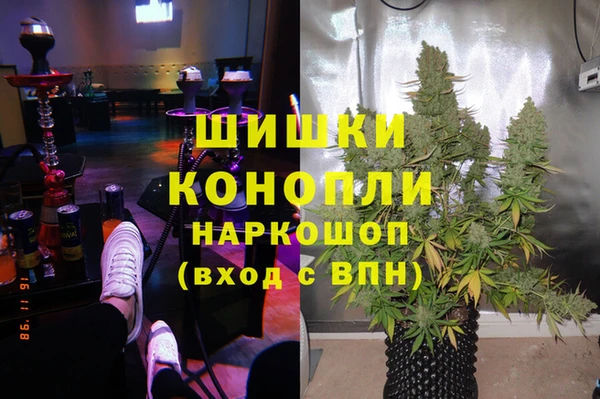 стаф Белокуриха